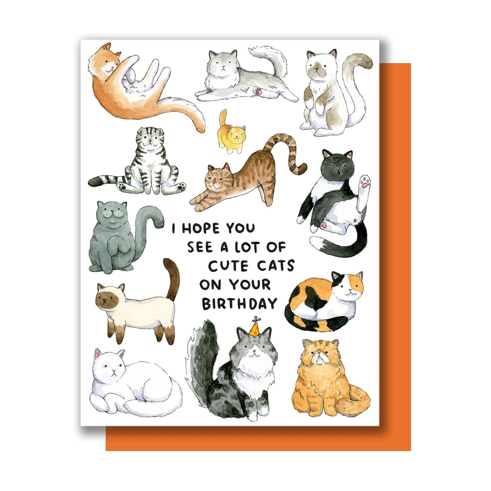 Greeting card with illustrations of cats and the text 'I hope you see a lot of cute cats on your birthday'.