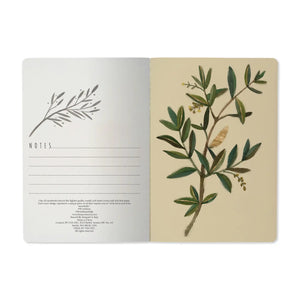 Olive Lined Notebook