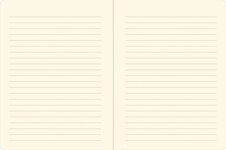Axolotls Midsize Journal