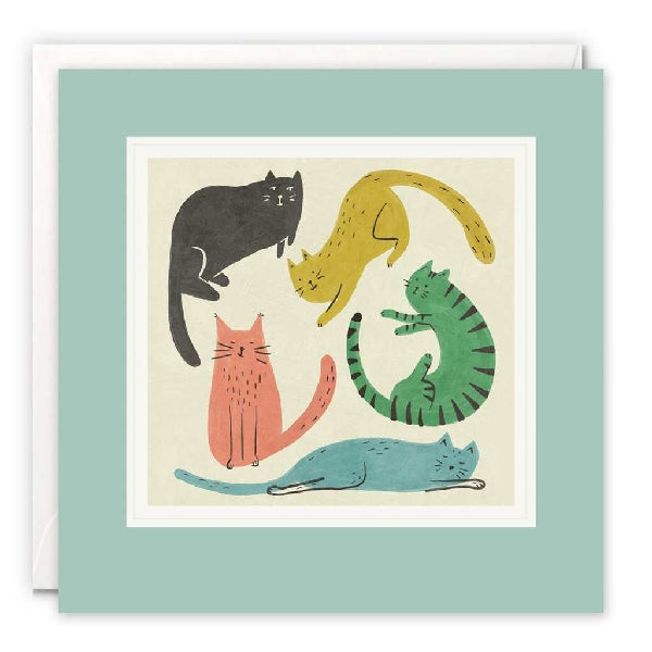 Cats Blank Art Card