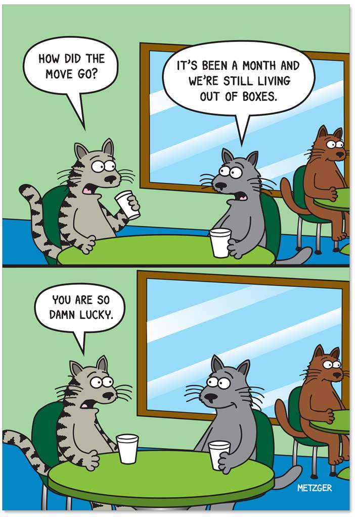 Greeting card featuring two illustrations of two cats sitting at a table. The top image shows a stripy cat holding a white cup while the gray cat's paw is rested on the table beside their cup. The text 'How did the move go?' is printed in a speech bubble over the stripy cat, while 'It's been a month and we're still living out of boxes.' is printed over the other. In the bottom image, the cats are seated in similar positions with a speech bubble over the striped cat with the text 'You are so damn lucky.'
