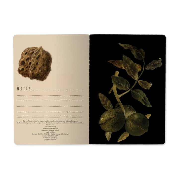 Night Garden Lined Notebook