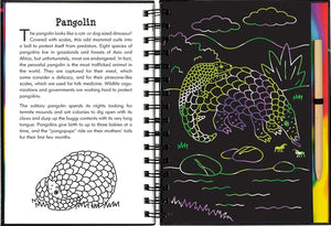 Scratch & Sketch Activity Book | Nocturnal Animals