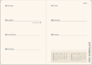 Peter Pauper 2024 16-Month Agenda | Amethyst Butterflies