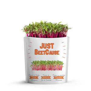Giftagreen Just Beetcause Friendship Grow Card