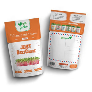 Giftagreen Just Beetcause Friendship Grow Card