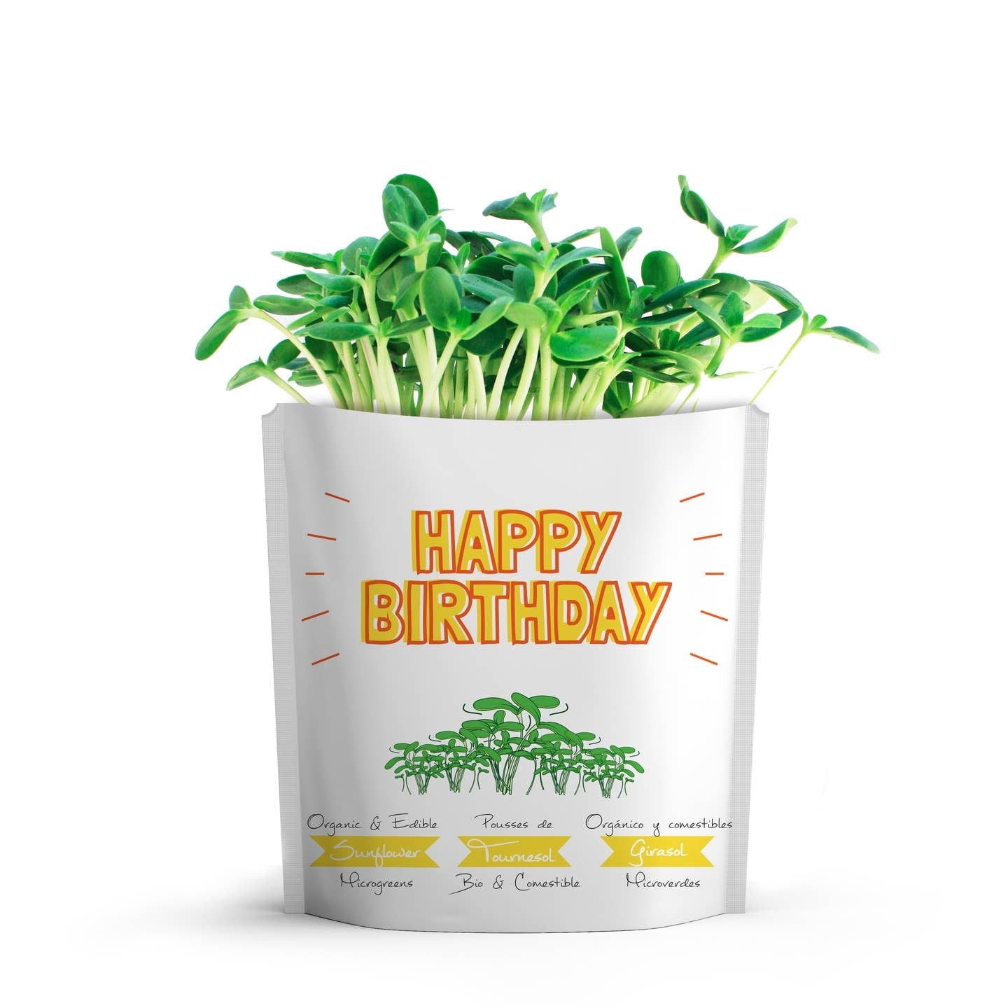 Giftagreen Birthday Grow Card