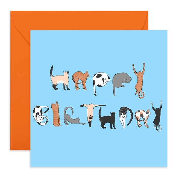 Cat Poses Birthday Card