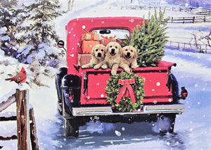 Bringing Home The Tree Deluxe Boxed Holiday Cards | Set of 20