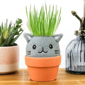 Cat Grow Kit