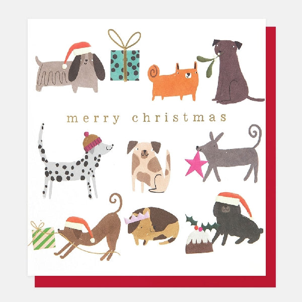 Dogs Christmas Card