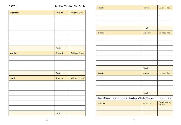 Daily Food Journal