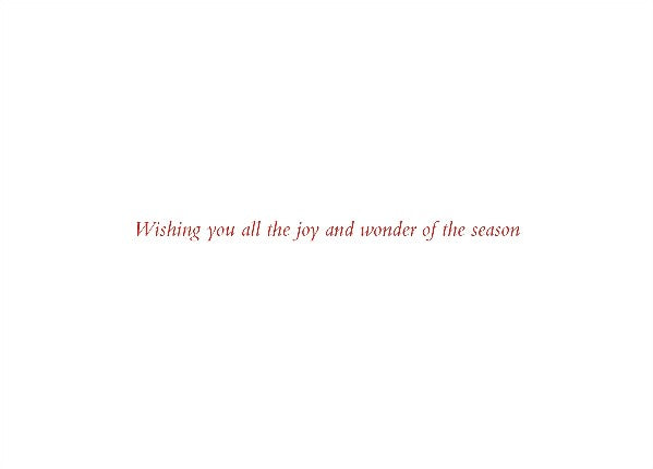 Deck The Halls Boxed Christmas Cards | Set of 20