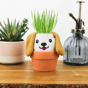 Dog Grow Kit