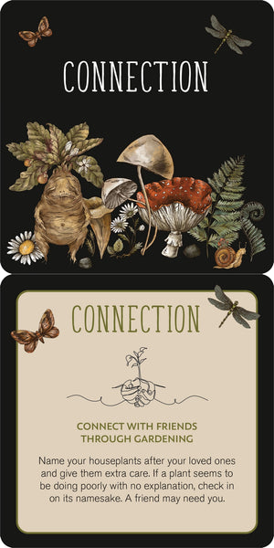 Everyday Spells For Busy Witches Insight Cards