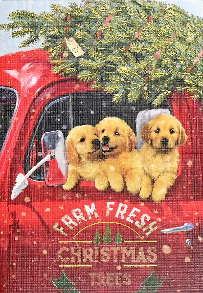 Festive Pups Boxed Holiday Cards | Set of 20