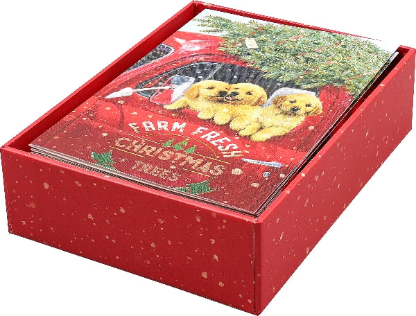Festive Pups Boxed Holiday Cards | Set of 20
