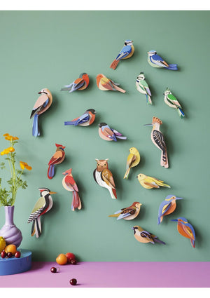 Colorful 3D bird-shaped decorations on a green wall with a pink base.