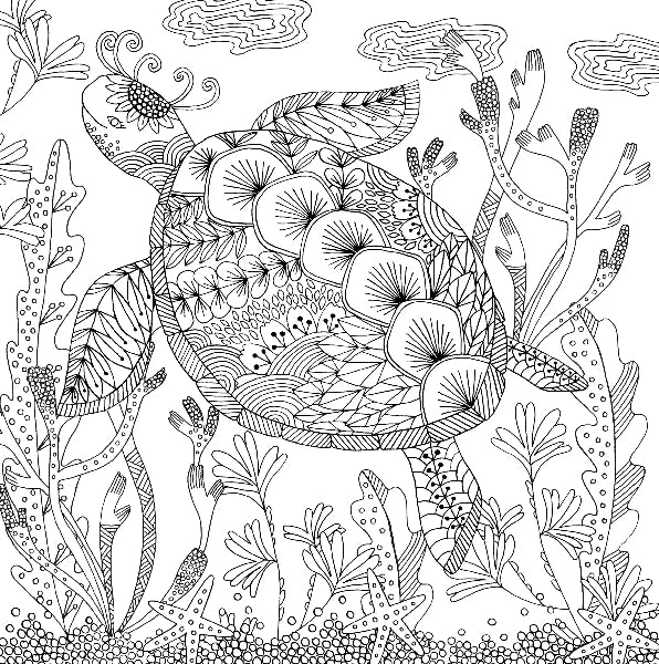 Follow Your Dreams Colouring Book