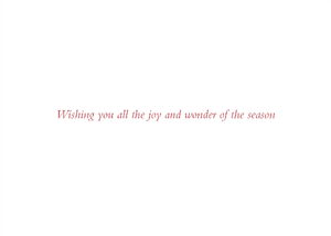 Merry Perch Boxed Holiday Cards | Set of 20