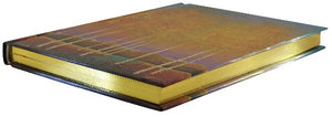 Moonlit Aspens Midsize Journal