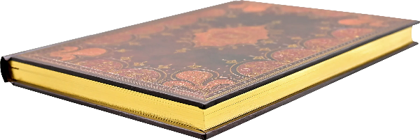 Nautilus Midsize Journal