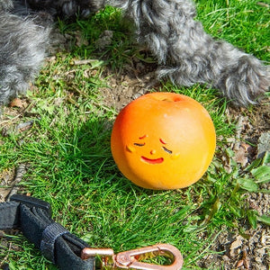 Peach Fruit Squeaker Dog Toy