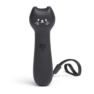Rechargeable Pounce And Play Laser