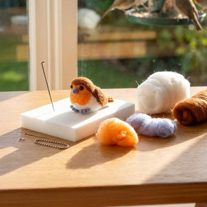 Robin Needle Felting Kit