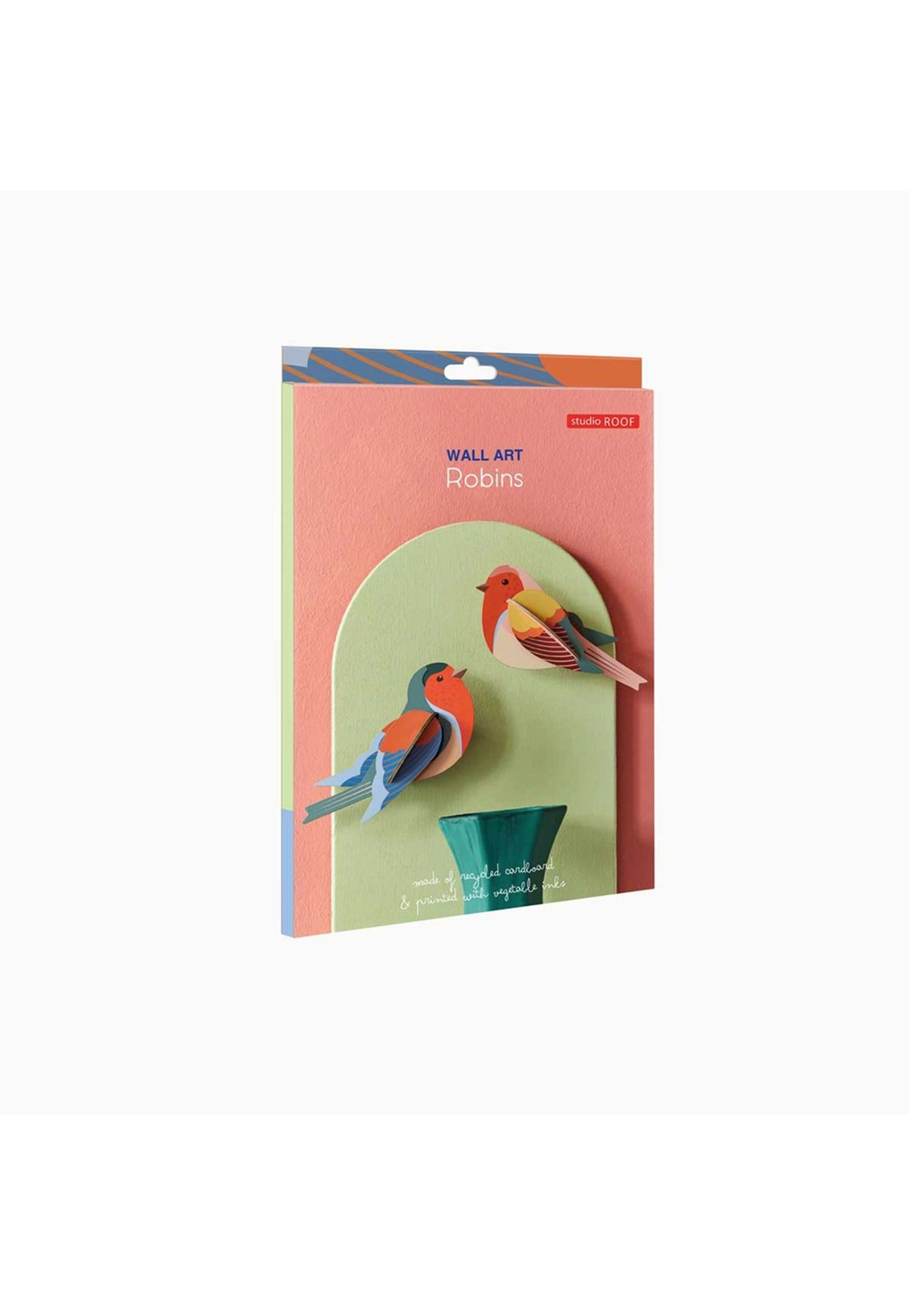 Packaging box for a robins wall art kit from Studio Roof. The box features an image of a two 3D robins hanging on a green arch on an orange background.
