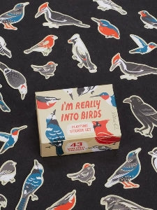 Image showing a packaging box for a 'I'm Really Into Birds' themed sticker set. Stickers of birds surround the box. The box and stickers sit against a black surface.