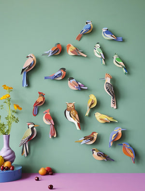 Colorful bird-shaped decorations on a green wall with a pink base.