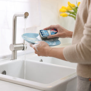 Image of a person using a kitchen sponge with a can of sardines design to wash a plate over a sink. 