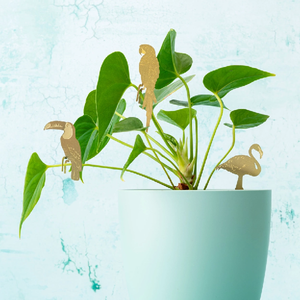 Toucan Houseplant Decoration