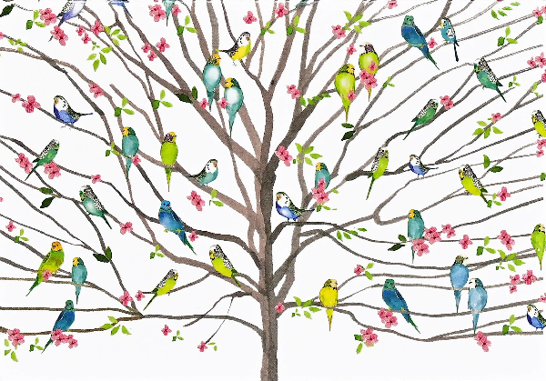 white blank card with a watercolour tree in the centre. its naked branches hold blue and green birds, as well as a few pink flowers. peter pauper product