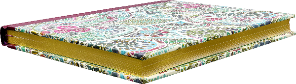 Watercolour Paisley Midsize Journal