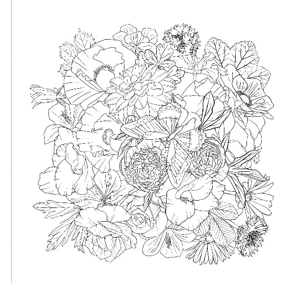 Wildflowers Colouring Book