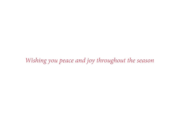 Wreath Of Joy Boxed Holiday Cards | Set of 20