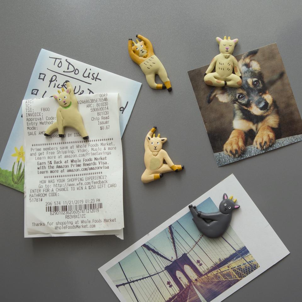 Goat Yoga - Magnets