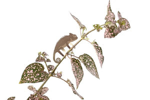 Chameleon Houseplant Decoration
