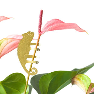 Chameleon Houseplant Decoration