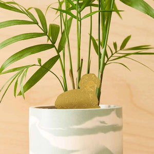Dachshund Houseplant Decoration