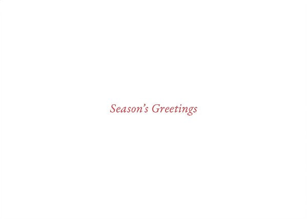 Festive Evergreen Boxed Holiday Cards | Set of 20