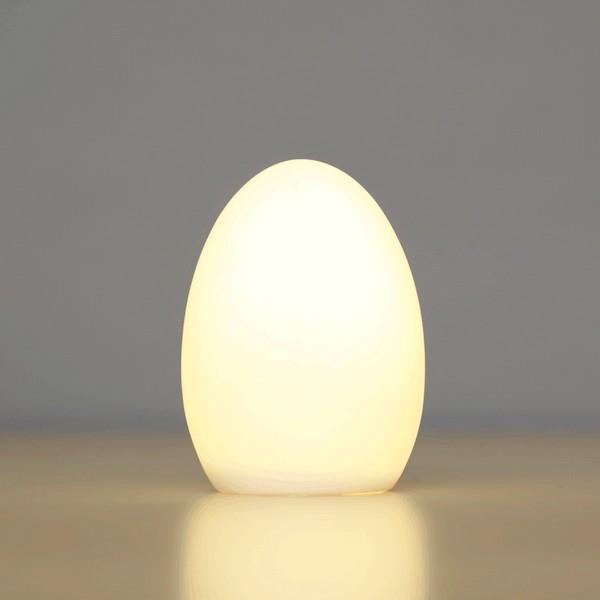 Egg LED Light