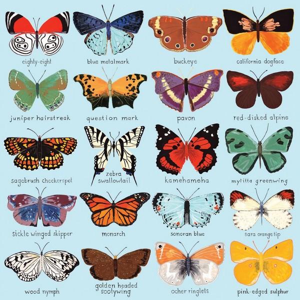 Mudpuppy 500 Piece Puzzle | Butterflies Of North America