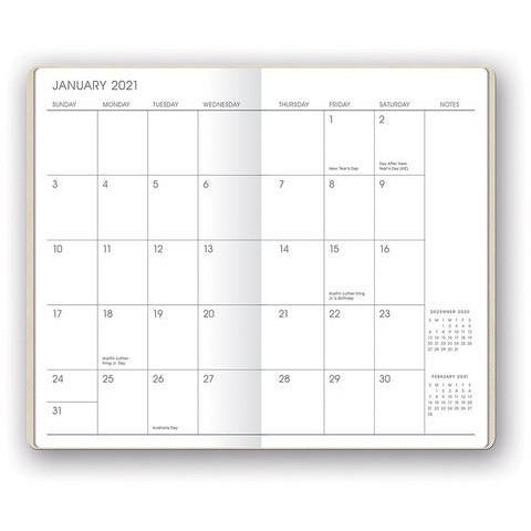Pearl Shimmer Mini Planner - 17 Month