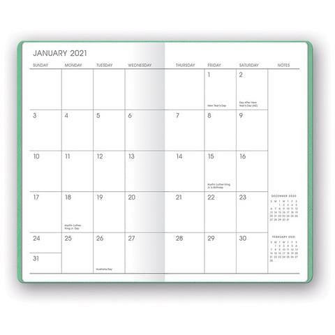 Mint Shimmer Mini Planner - 17 Month