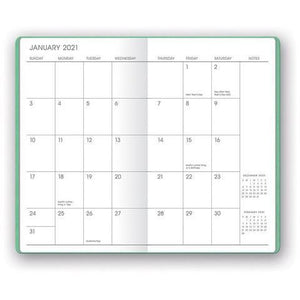Mint Shimmer Mini Planner - 17 Month