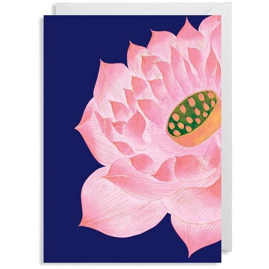 Pink Bloom - 6382