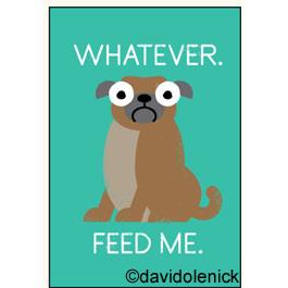 Whatever. Feed Me. | Magnet | The Gifted Type